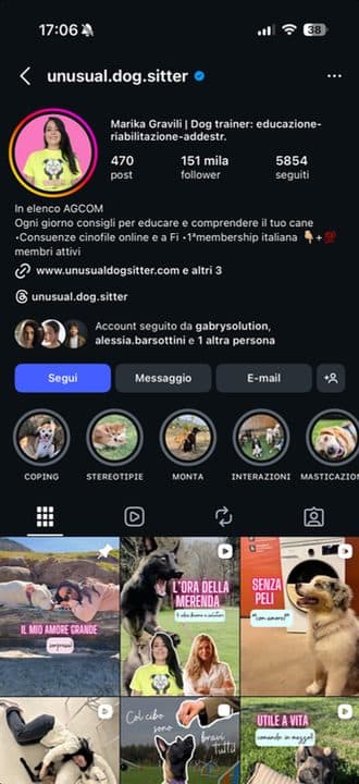 Il profilo Instagram di Unusual Dog Sitter, 151 mila follower